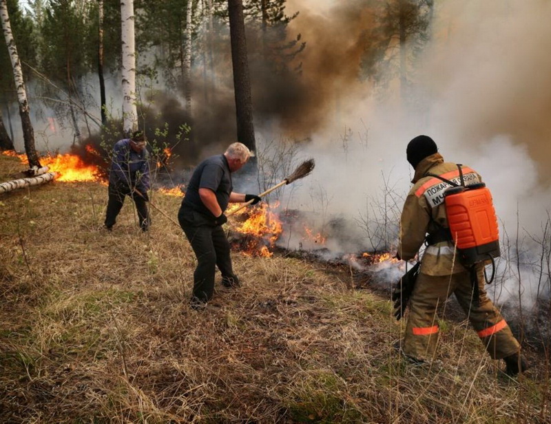 О принимаемых мерах по стабилизации лесопожарной обстановкуи.