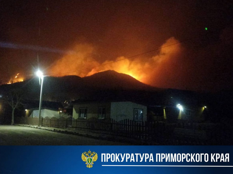 Прокуратура поставила на контроль ликвидацию ландшафтного пожара в районе п. Витязь.