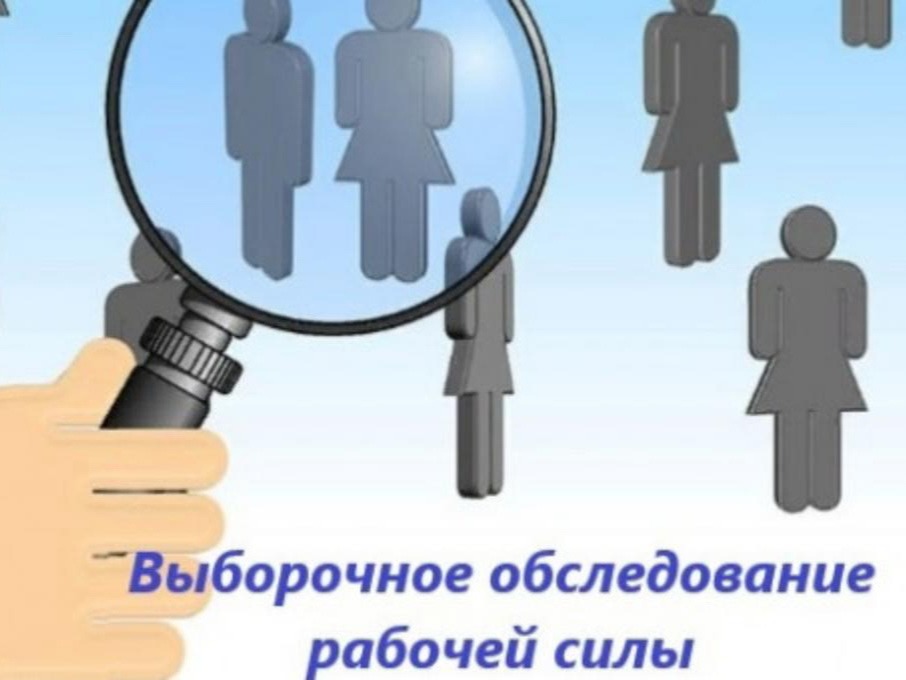 Выборочное обследование рабочей силы.