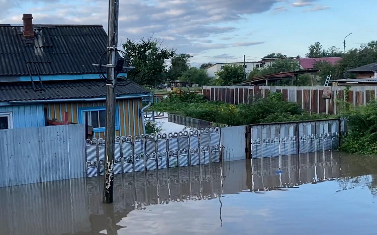 Фото — Правительство Приморского края.