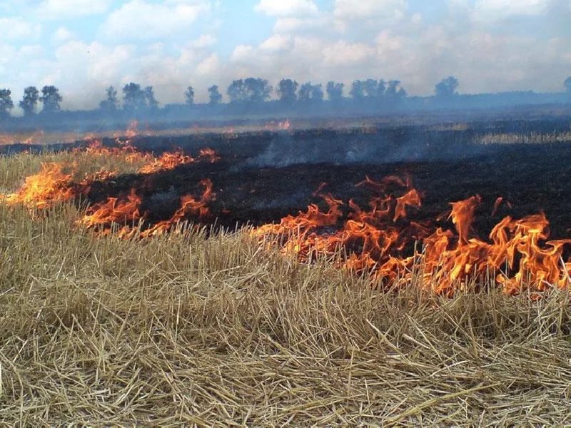 В Хасанском округе горела сухая растительность.