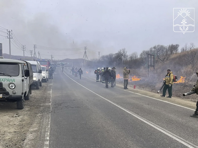 Контролируемый отжиг сухой растительности проходит в Хасанском округе.