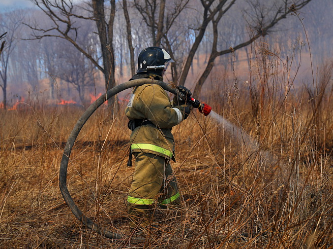 Крупный лесной пожар локализован в Приморье.