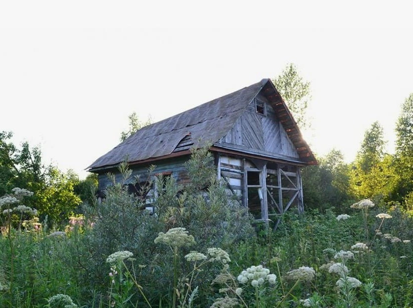 Признаки неиспользования земельных участков.