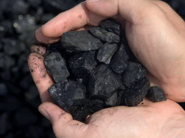 Жители Хасанского округа могут заказать уголь в мае 2023 года.